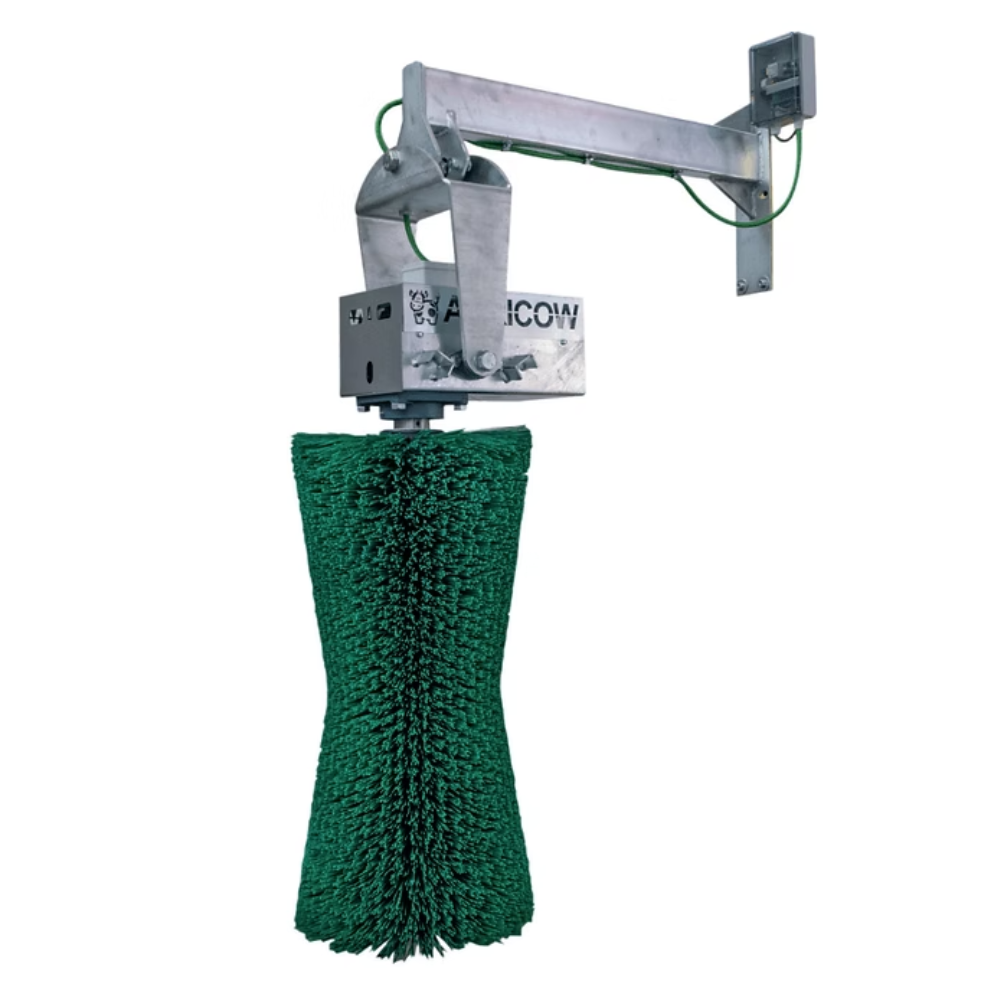 Komforta birste Pendulum